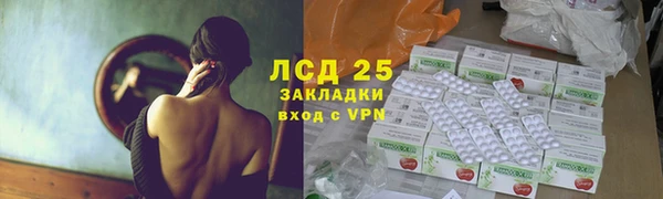 спиды Вяземский