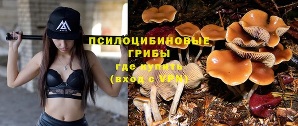 спиды Вяземский