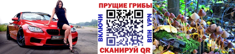 Купить где  Мелеуз  Псилоцибиновые грибы ЛСД 